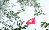 Hà Nội đẹp lạ lùng trong màu trắng hoa sưa